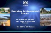 as determined through  the  U NEP’s Foresight Process  &   the UNEP’s GEO Process
