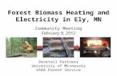 Forest Biomass Heating and Electricity in Ely, MN Community Meeting February 9, 2012 Dovetail Partners University of Minnesota USDA Forest Service
