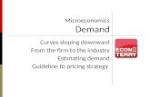 Microeconomics Demand
