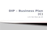 DIP – Business Plan (C)