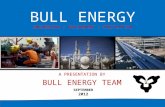 BULL ENERGY ENGINEERING | PROCUREMENT | CONSTRUCTION