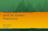 Huaorani Ecolodge  and its Green Practices