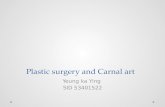 Plastic surgery and Carnal art