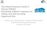 The Metals Exposure Study in Homes (MESH):  Examining children’s  exposure to metals near the Iron King Superfund Site.