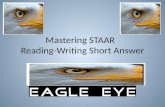 Mastering STAAR   Reading-Writing Short Answer