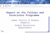 Report on the Fellows and Associates Programme