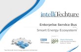 Enterprise Service Bus for the  Smart Energy Ecosystem
