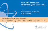 The Nuclear Renaissance  & Research Opportunities in the Nuclear Field