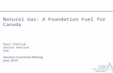 Natural Gas: A Foundation Fuel for Canada Paul Cheliak Senior Advisor  CGA  Taxation Committee Meeting June, 2010