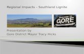 Presentation by Gore District Mayor Tracy Hicks