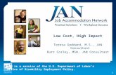 Low Cost, High Impact Teresa Goddard, M.S., JAN Consultant Burr Corley, MSW, JAN Consultant