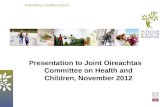 Presentation to  Joint Oireachtas Committee on Health and Children, November 2012