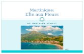 Martinique: L’Île aux  Fleurs
