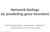 Network biology (&  predicting gene function)