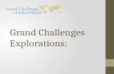 Grand Challenges Explorations: