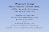 Rhodiola rosea ancient  medicinal herb for stress,  mild to moderate depression  and neuro-protection