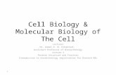 Cell Biology & Molecular Biology of The Cell