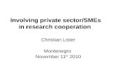 Involving private sector/SMEs in research cooperation