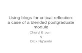 Using blogs for critical reflection: a case of a blended postgraduate module