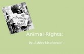 Animal Rights: