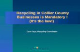 Recycling in Collier County Businesses is Mandatory ! (It’s the law!)