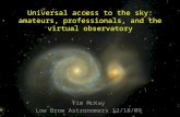 Universal access to the sky: amateurs, professionals, and the virtual observatory
