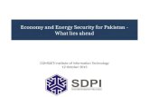 Economy and Energy Security for Pakistan - What lies ahead