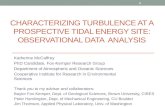 Characterizing Turbulence at a Prospective Tidal Energy Site: Observational Data  Analysis