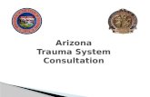 Arizona Trauma System Consultation