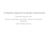 A Stepwise Approach to Quality Improvement