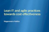 Lean IT and  agile practices towards cost effectiveness