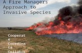 A Fire Managers Approach to Invasive Species