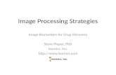 Image Processing Strategies