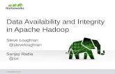 Data Availability and Integrity in Apache Hadoop