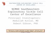 NCMHD Southeastern Exploratory Sickle Cell Center of Excellence