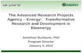 The Advanced Research Projects Agency – Energy:   Transformative Research and Development in  Bioenergy