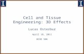 Cell and Tissue Engineering: 3D Effects Lucas Osterbur April 18, 2011 BIOE 506