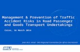 Management & Prevention of Traffic Accident Risks in Road Passenger and Goods Transport Undertakings
