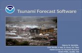 Tsunami Forecast Software