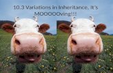 10.3 Variations in Inheritance, It’s  MOOOOOving !!!