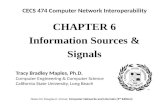 CHAPTE R 6 Information Sources & Signals