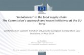 An  Renckens Member of the Food Task Force DG Competition, European Commission