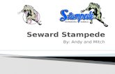Seward Stampede