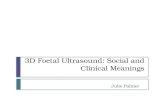 3D Foetal Ultrasound: Social and Clinical Meanings