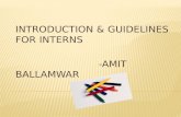 INTRODUCTION & GUIDELINES FOR INTERNS                           -AMIT BALLAMWAR