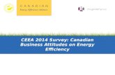 CEEA 2014 Survey: Canadian Business Attitudes on Energy Efficiency