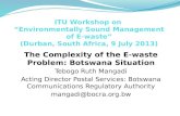 ITU Workshop on  “Environmentally Sound Management of E-waste” (Durban , South Africa, 9 July 2013)