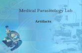 Medical  Parasitology  Lab