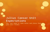Julius Caesar Unit Expectations
