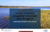Levy County Coastal Change Art Project Expressing Change in Levy County November 15, 2013 Cedar Key Arts Center